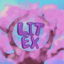 Иконка сервера Litex SMP 1 Сезон